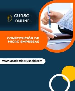 CONSTITUCIÓN DE MICRO EMPRESAS